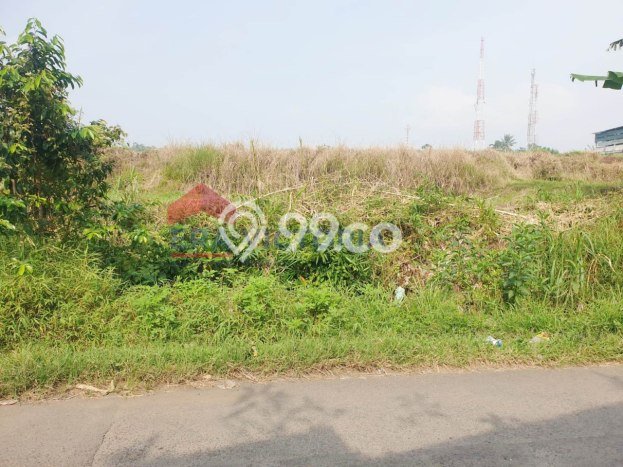 Lahan untuk Dijual di Wagir Malang Luas 9368m2 Lahan untuk Dijual di Wagir Malang Luas 9368m2