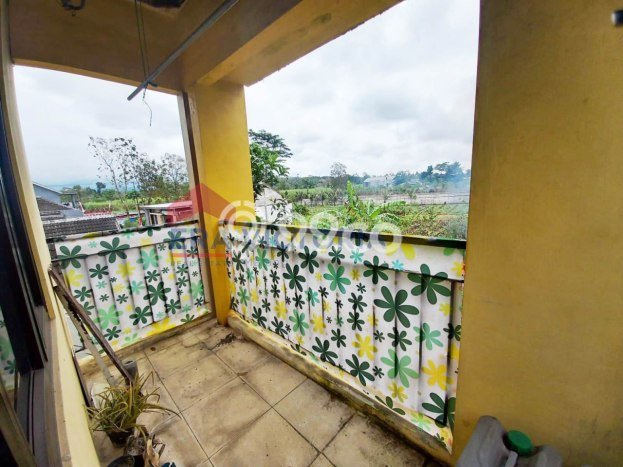 Dijual Rumah 3 Kamar Lokasi Ideal Bagus dan Strategis di Singosari Dijual Rumah 3 Kamar Lokasi Ideal Bagus dan Strategis di Singosari