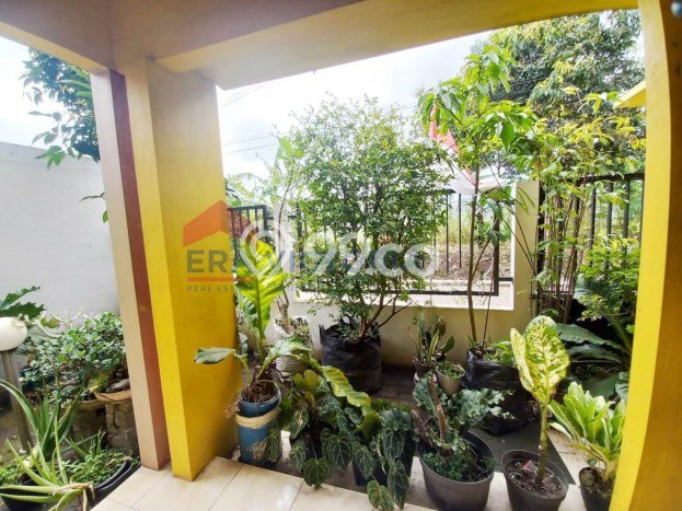 Dijual Rumah 3 Kamar Lokasi Ideal Bagus dan Strategis di Singosari Dijual Rumah 3 Kamar Lokasi Ideal Bagus dan Strategis di Singosari