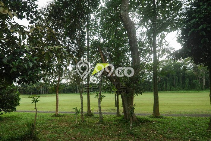 Tanah Strategis Dijual di Pakis Malang 600m2 Tanah Strategis Dijual di Pakis Malang 600m2
