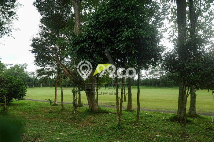 Tanah Strategis Dijual di Pakis Malang 600m2 Tanah Strategis Dijual di Pakis Malang 600m2