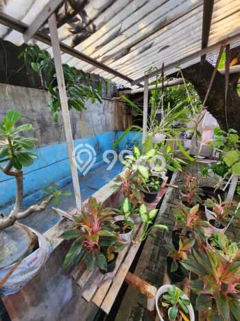 Jual Rumah Luas Megah Dengan View Cantik di Klender, Jakarta Timur Jual Rumah Luas Megah Dengan View Cantik di Klender, Jakarta Timur