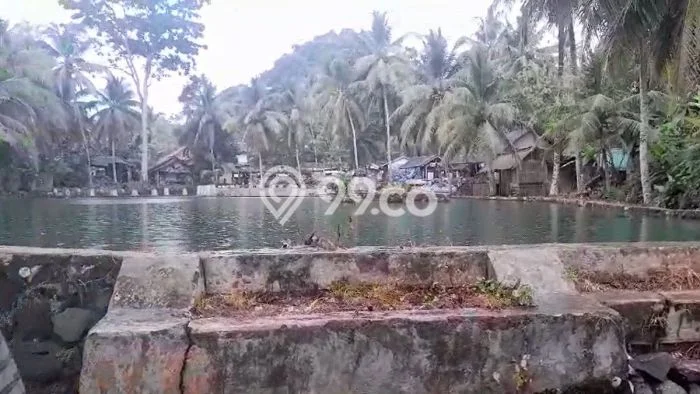 Kavling Tanah Dijual di Ciomas, Serang, Luas 9756m2 Area Strategis Kavling Tanah Dijual di Ciomas, Serang, Luas 9756m2 Area Strategis