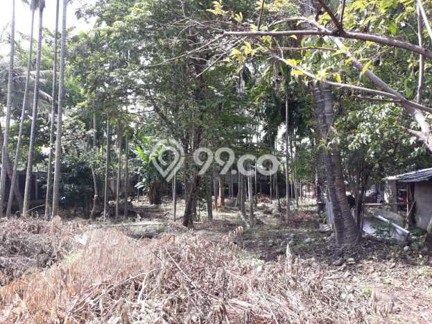 Tanah Dijual Lokasi Strategis di Jakarta Timur dengan Luas 1498m2 Tanah Dijual Lokasi Strategis di Jakarta Timur dengan Luas 1498m2