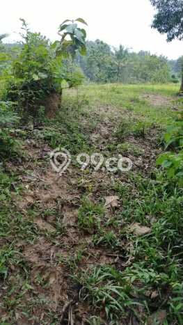 Tanah Dijual Lokasi Cibarusah, Bekasi dengan Luas Tanah 558m2 dan Status SHM Tanah Dijual Lokasi Cibarusah, Bekasi dengan Luas Tanah 558m2 dan Status SHM