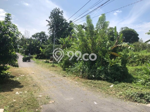 Tanah Kavling Dijual di Sleman, Yogyakarta dengan Luas Tanah 126m2 Tanah Kavling Dijual di Sleman, Yogyakarta dengan Luas Tanah 126m2