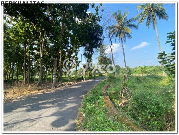 Tanah di Ngaglik, Luas 126m², Akses Jalan Raya, Area Prospektif Tanah di Ngaglik, Luas 126m², Akses Jalan Raya, Area Prospektif