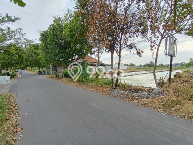 Tanah Lokasi Strategis di Ngaglik, Luas 111m², Dekat ke Pusat Kota, Akses Ngaglik, Sleman, Sleman Tanah Lokasi Strategis di Ngaglik, Luas 111m², Dekat ke Pusat Kota, Akses Ngaglik, Sleman, Sleman