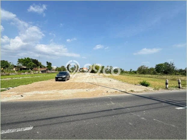 Tanah Potensial di Godean, Luas 295m2m², Akses Mudah Tanah Potensial di Godean, Luas 295m2m², Akses Mudah