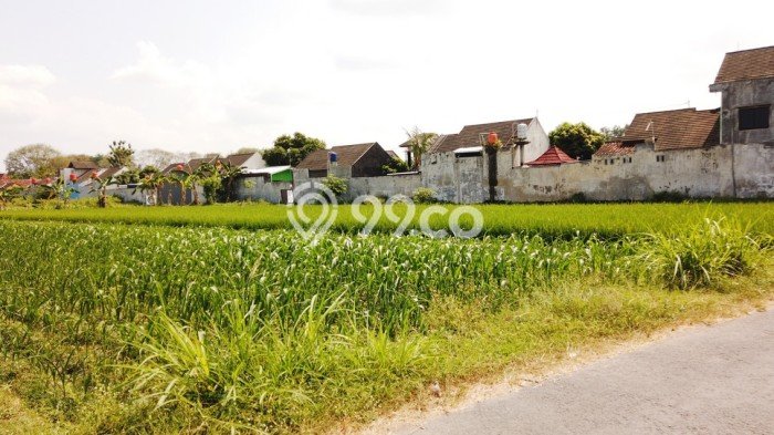 Dijual Tanah Kawasan Bisnis di Prambanan, Luas 104m², Cocok untuk Pengembangan Dijual Tanah Kawasan Bisnis di Prambanan, Luas 104m², Cocok untuk Pengembangan
