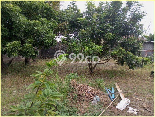 Tanah Kawasan Umbulharjo, Luas 158m², Lokasi Strategis, Kawasan Asri Tanah Kawasan Umbulharjo, Luas 158m², Lokasi Strategis, Kawasan Asri