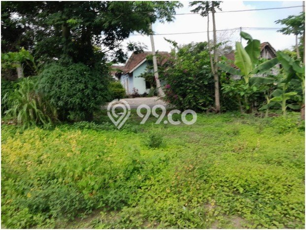 LOKASI STRATEGIS! Tanah di Sleman, Luas 142m², Lingkungan Asri, Cocok untuk Hunian LOKASI STRATEGIS! Tanah di Sleman, Luas 142m², Lingkungan Asri, Cocok untuk Hunian
