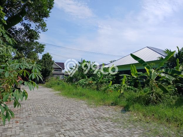 TANAH PROSPEKTIF! Tanah Kawasan Sleman, Luas 192m², Tepi Jalan Utama TANAH PROSPEKTIF! Tanah Kawasan Sleman, Luas 192m², Tepi Jalan Utama