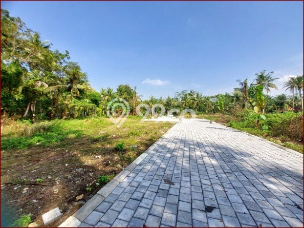 Rumah Strategis di Kulonprogo, Dekat Kawasan Bisnis, Kulon Progo - 2 Kamar Tidur Rumah Strategis di Kulonprogo, Dekat Kawasan Bisnis, Kulon Progo - 2 Kamar Tidur
