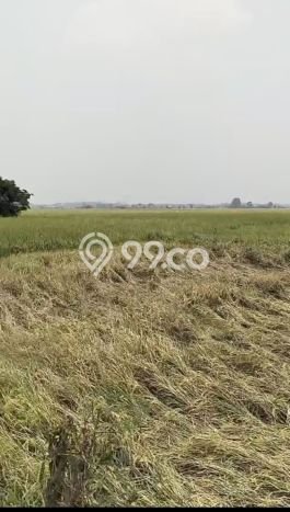 Tanah Komersial Dijual di Balaraja Tangerang 1e+06m2 Tanah Komersial Dijual di Balaraja Tangerang 1e+06m2