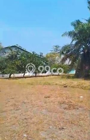 Gudang Dijual di Kresek Tangerang dengan Luas Bangunan 1800m2 Gudang Dijual di Kresek Tangerang dengan Luas Bangunan 1800m2