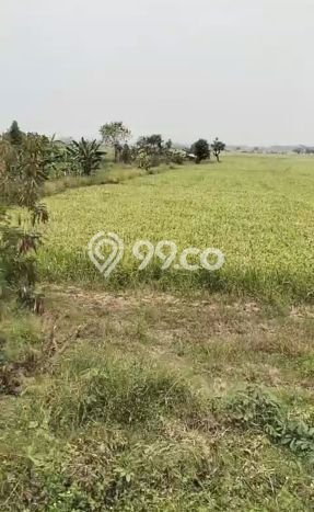 Tanah Komersial Dijual di Balaraja Tangerang 1e+06m2 Tanah Komersial Dijual di Balaraja Tangerang 1e+06m2