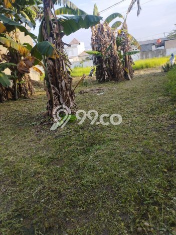 Dijual Tanah di Karawang, Luas 180m2 SHM Dijual Tanah di Karawang, Luas 180m2 SHM