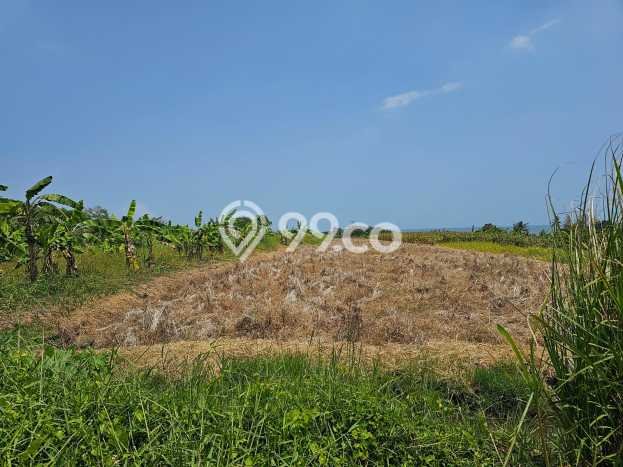 Tanah Komersial Dijual di Kediri Tabanan 6915m2 Tanah Komersial Dijual di Kediri Tabanan 6915m2