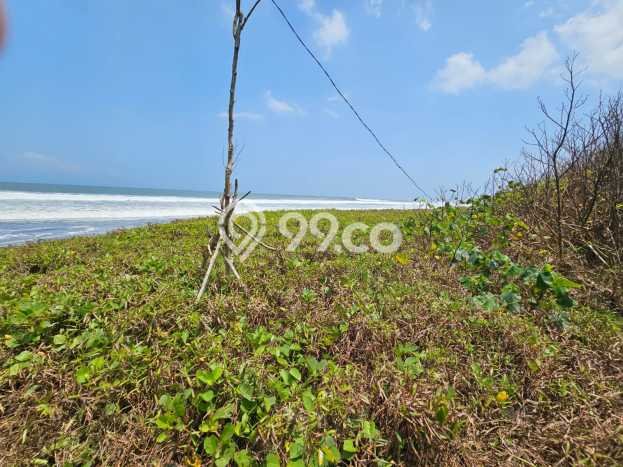 Tanah Komersial Dijual di Kediri Tabanan 6915m2 Tanah Komersial Dijual di Kediri Tabanan 6915m2