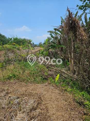 Tanah Komersial Dijual di Kediri Tabanan 6915m2 Tanah Komersial Dijual di Kediri Tabanan 6915m2