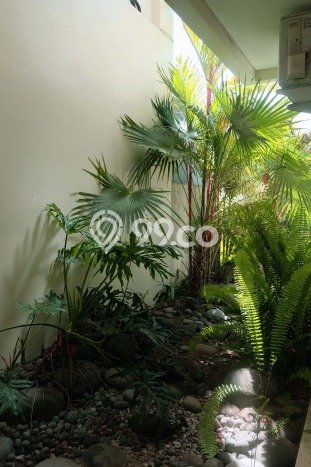 Rumah Minimalis 3 Kamar LT 130m2 di Jimbaran Rumah Minimalis 3 Kamar LT 130m2 di Jimbaran