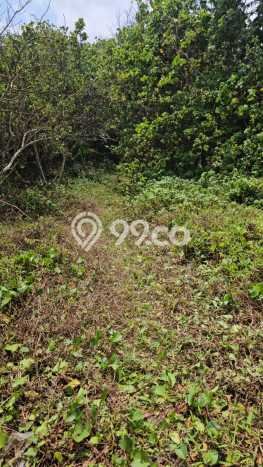 Tanah Komersial Dijual di Kediri Tabanan 6915m2 Tanah Komersial Dijual di Kediri Tabanan 6915m2