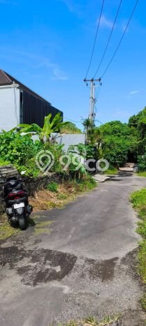 Jarang Ada! Tanah di Ketewel Punya Luas 1486m2 SHM Jarang Ada! Tanah di Ketewel Punya Luas 1486m2 SHM