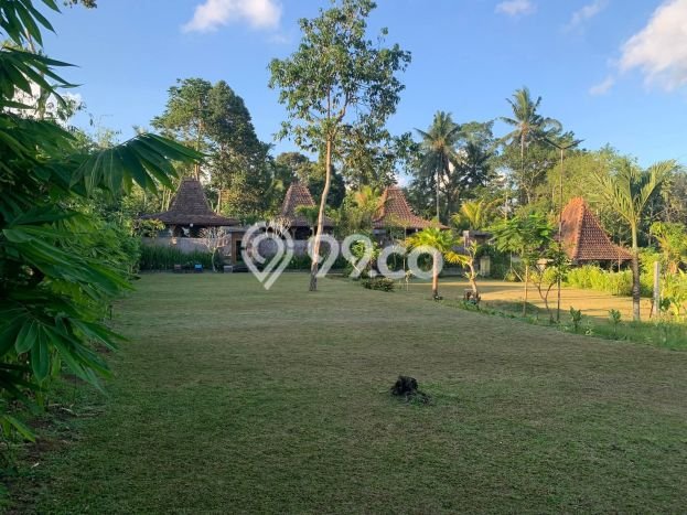 Peluang Terbaik! Vila Kawasan Ubud, Dimensi 2270m2m², Lokasi Strategis dekat dengan berbagai kebutuhan Peluang Terbaik! Vila Kawasan Ubud, Dimensi 2270m2m², Lokasi Strategis dekat dengan berbagai kebutuhan