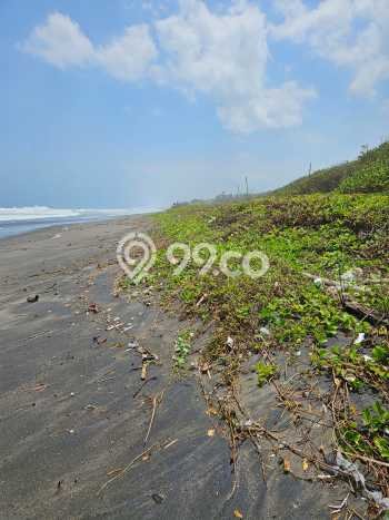 Tanah Komersial Dijual di Kediri Tabanan 6915m2 Tanah Komersial Dijual di Kediri Tabanan 6915m2