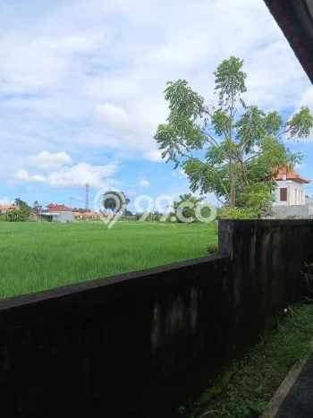 Hunian Nyaman Asri 3 KT Siap Huni di Singapadu Gianyar Hunian Nyaman Asri 3 KT Siap Huni di Singapadu Gianyar