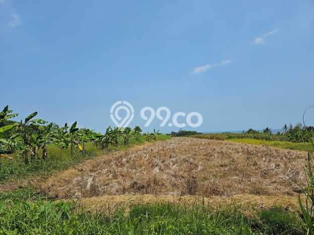 Tanah Komersial Dijual di Kediri Tabanan 6915m2 Tanah Komersial Dijual di Kediri Tabanan 6915m2