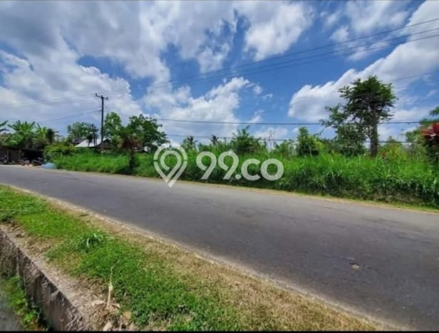 Tanah Kosong Dijual di Badung dengan Area 7700m2 Tanah Kosong Dijual di Badung dengan Area 7700m2