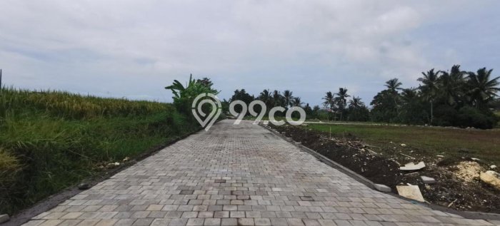 Tanah Dijual Area Strategis di Gubug Tabanan 284m2 Tanah Dijual Area Strategis di Gubug Tabanan 284m2