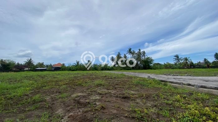 Tanah Kavling Dijual di Gubug, Tabanan dengan Luas Tanah 200m2 Tanah Kavling Dijual di Gubug, Tabanan dengan Luas Tanah 200m2