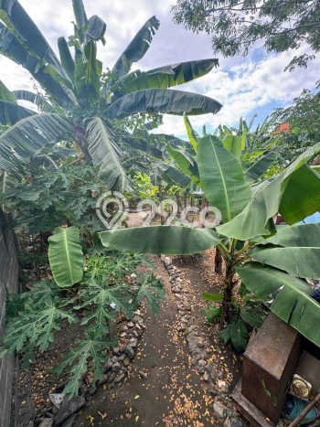 Kavling Tanah Dijual di Mulyorejo Surabaya Spesifikasi 900m2 Kavling Tanah Dijual di Mulyorejo Surabaya Spesifikasi 900m2
