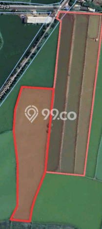 Kavling Tanah Dijual di Gresik Gresik Spesifikasi 35000m2 Kavling Tanah Dijual di Gresik Gresik Spesifikasi 35000m2