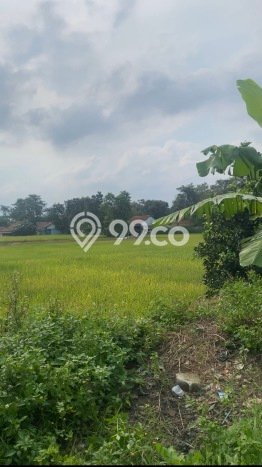 Kavling Tanah di Legok Dijual Luas 935m2 Legalitas SHM Kavling Tanah di Legok Dijual Luas 935m2 Legalitas SHM
