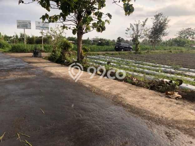 HARGA MENARIK! Tanah di Condong Catur, Luas 359m², Kawasan Potensial, Bebas Banjir HARGA MENARIK! Tanah di Condong Catur, Luas 359m², Kawasan Potensial, Bebas Banjir