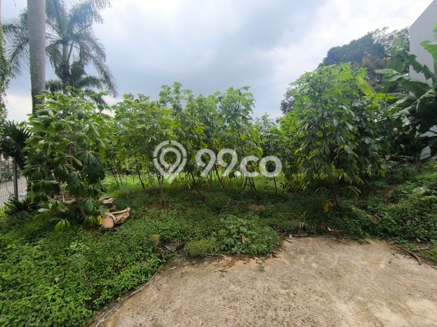 Jarang Ada! Tanah Kavling Disewakan di Bogor 1020m2 Jarang Ada! Tanah Kavling Disewakan di Bogor 1020m2