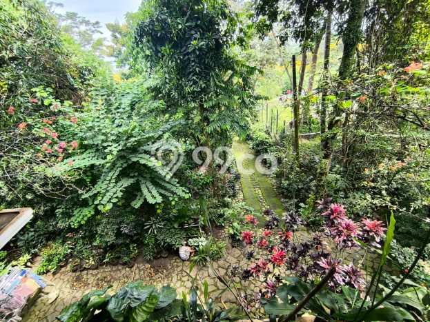 Hunian Mewah Dijual LT 1450m2 di Babakan Madang, Bogor Hunian Mewah Dijual LT 1450m2 di Babakan Madang, Bogor