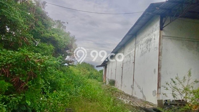 Tanah Dijual Lokasi Asemrowo, Surabaya dengan Luas Tanah 12000m2 dan Status SHM Tanah Dijual Lokasi Asemrowo, Surabaya dengan Luas Tanah 12000m2 dan Status SHM