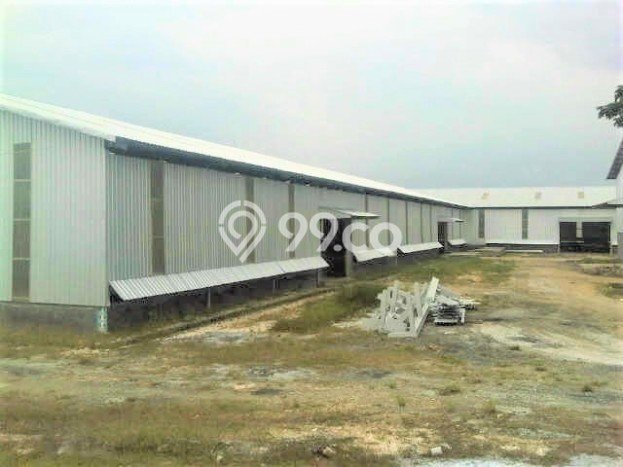 Gudang Dijual Lokasi Stratagis di Cerme Gresik Cocok untuk Bisnis Gudang Dijual Lokasi Stratagis di Cerme Gresik Cocok untuk Bisnis