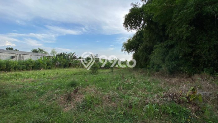 Lahan Kosong Dijual di Pungging, Mojokerto, Luas 26000m2 Area Strategis Lahan Kosong Dijual di Pungging, Mojokerto, Luas 26000m2 Area Strategis