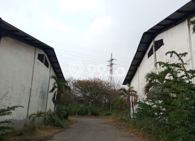 Unit Pabrik Dijual di Driyorejo Gresik Luas Tanah 60000m2, Luas Bangunan 34000m2 Unit Pabrik Dijual di Driyorejo Gresik Luas Tanah 60000m2, Luas Bangunan 34000m2