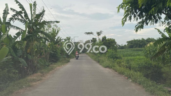 Lahan Kosong Dijual di Pungging, Mojokerto, Luas 26000m2 Area Strategis Lahan Kosong Dijual di Pungging, Mojokerto, Luas 26000m2 Area Strategis