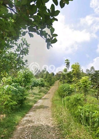 Jarang Ada! Tanah di Wonosalam Punya Luas 19900m2 SHM Jarang Ada! Tanah di Wonosalam Punya Luas 19900m2 SHM