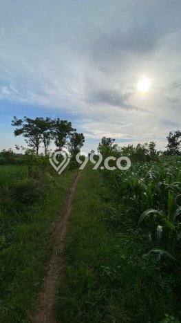 Lahan Kosong Dijual di Pungging, Mojokerto, Luas 26000m2 Area Strategis Lahan Kosong Dijual di Pungging, Mojokerto, Luas 26000m2 Area Strategis