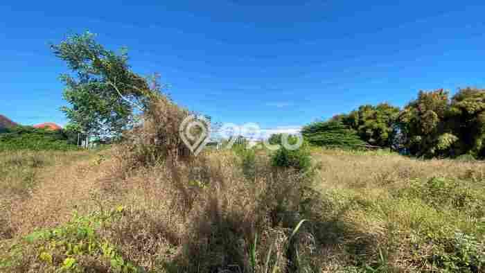 Kavling Tanah Dijual di Menganti Gresik Spesifikasi 6500m2 Kavling Tanah Dijual di Menganti Gresik Spesifikasi 6500m2