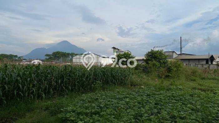 Lahan Kosong Dijual di Pungging, Mojokerto, Luas 26000m2 Area Strategis Lahan Kosong Dijual di Pungging, Mojokerto, Luas 26000m2 Area Strategis